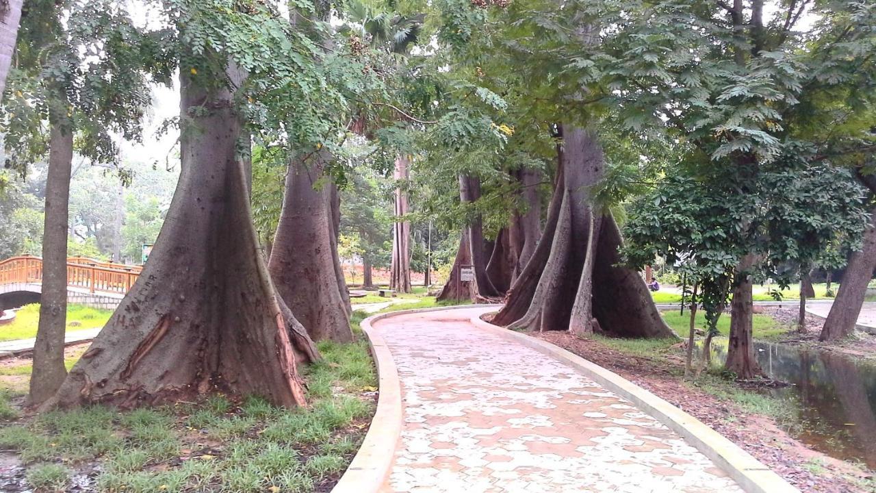 Patricia Guest House Puducherry Zewnętrze zdjęcie
