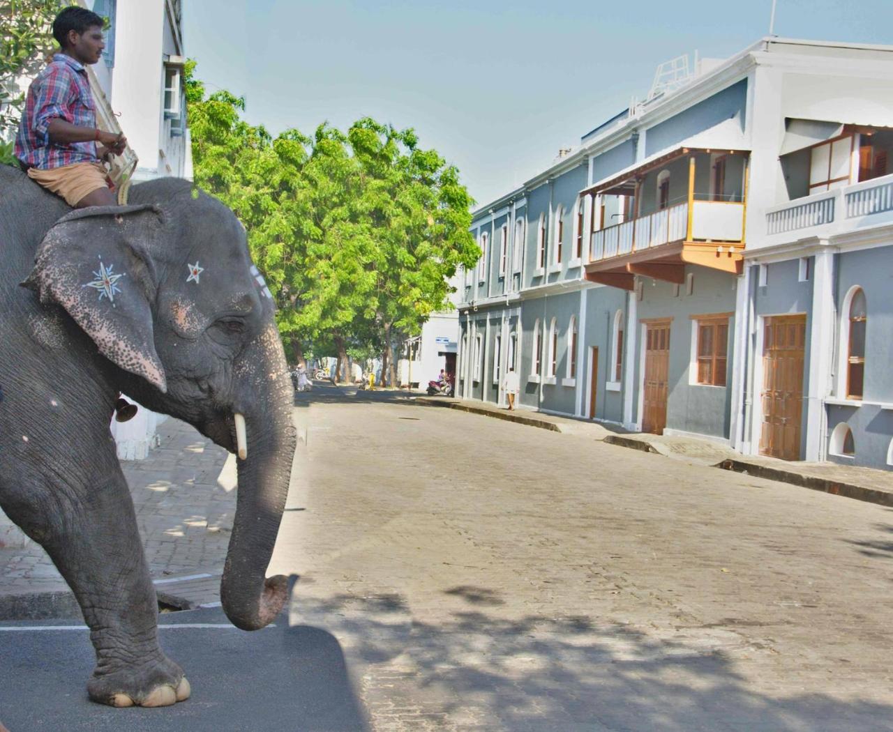 Patricia Guest House Puducherry Zewnętrze zdjęcie